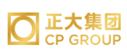 金山正大集团